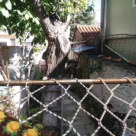 At * Korça